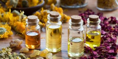 Le Pouvoir des Huiles Essentielles : Un Guide pour le Bien-Être des Chevaux