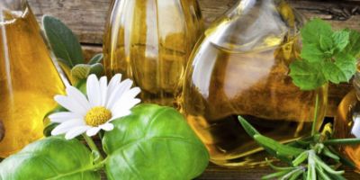 Les Bienfaits des Huiles Végétales pour les Chevaux : Un Élixir Naturel pour Leur Santé et Leur Vitalité