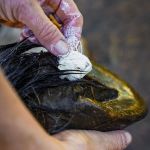 Image sur Le mastic à pied