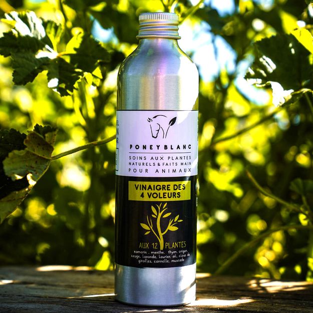 Image sur Vinaigre des 4 voleurs anti-parasitaire aux 12 plantes
