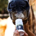 Image sur Baume du Soleil minérale