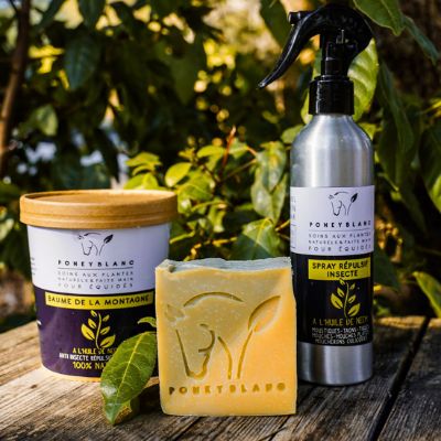 Les essentiels de l’été pour votre cheval 