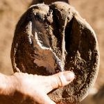 Image sur Pâte à Pied protectrice & purifiante