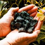 Image sur Friandises CMV vitaminées et spiruline