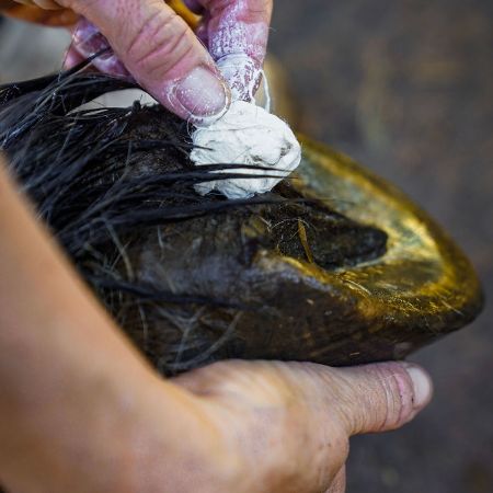 Image de la catégorie Soins du Pied