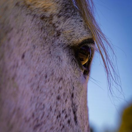 Image de la catégorie Soins de la Peau
