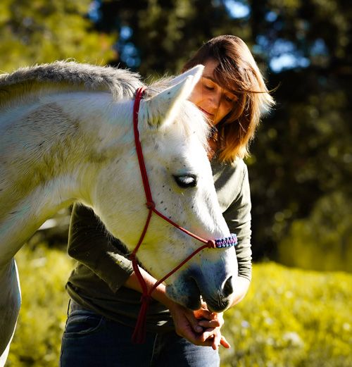 artisane soins naturels chevaux