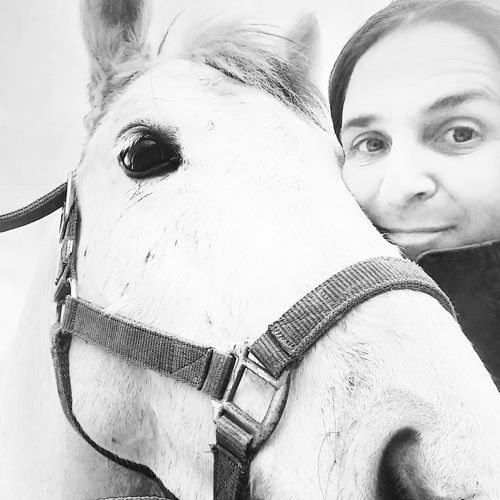 artisan manufacturer of natural care products for horses and animals