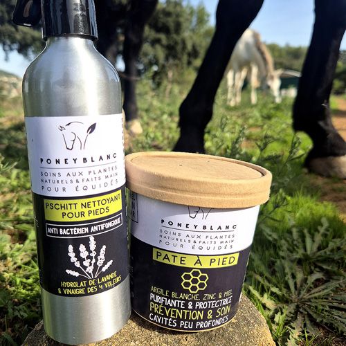 kit entretien soin des pieds et sabot des chevaux contre pourriture de la fourchette